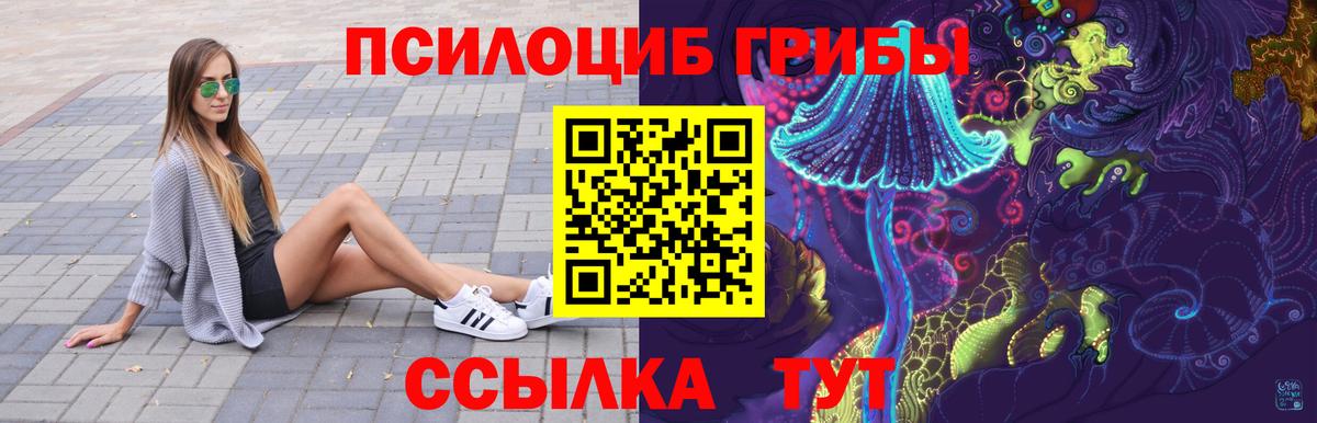 Галлюциногенные грибы GOLDEN TEACHER  Вход с VPN  Саянск 